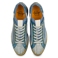 Carica l'immagine nel visualizzatore di Gallery, WESTON AVIO
